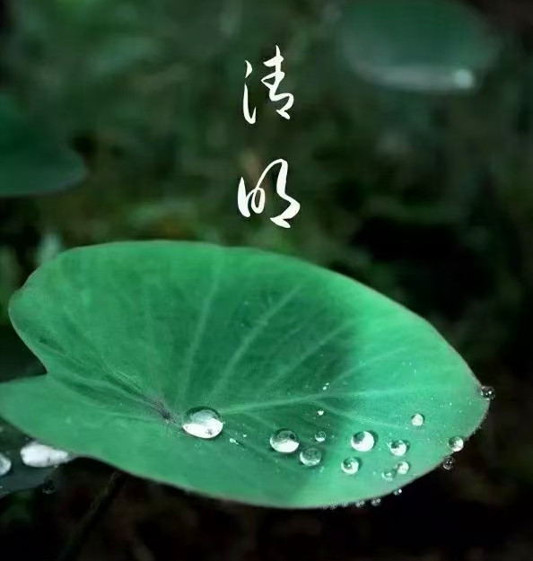 配图_副本.jpg