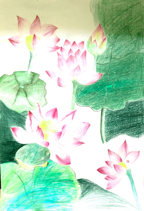 作品一：莲花.JPG