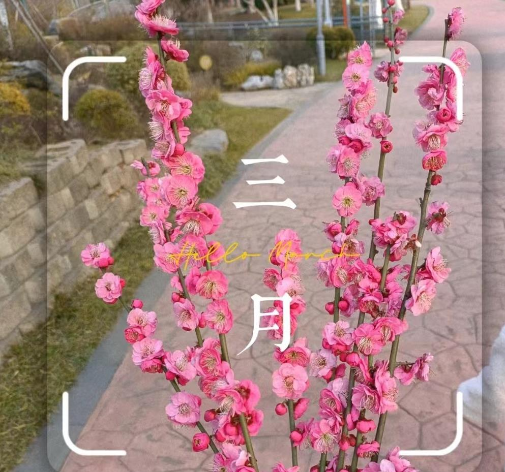 1711940886375915.png